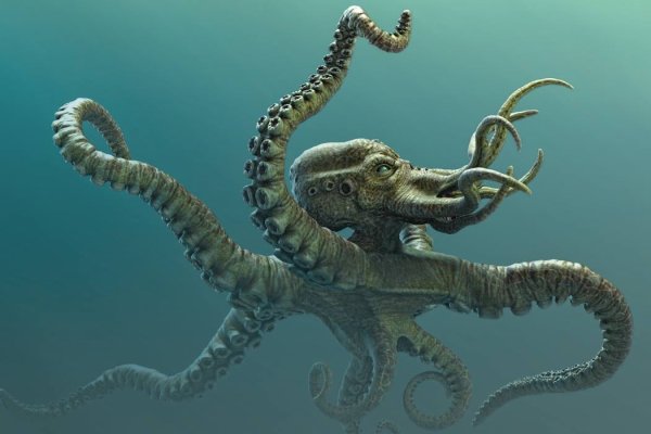 Kraken org